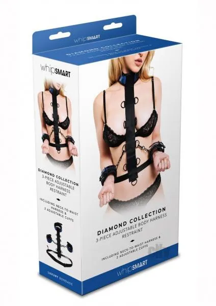 Vibrators Seductucom Whipsmart Body Harn Restraint 3pc Blue