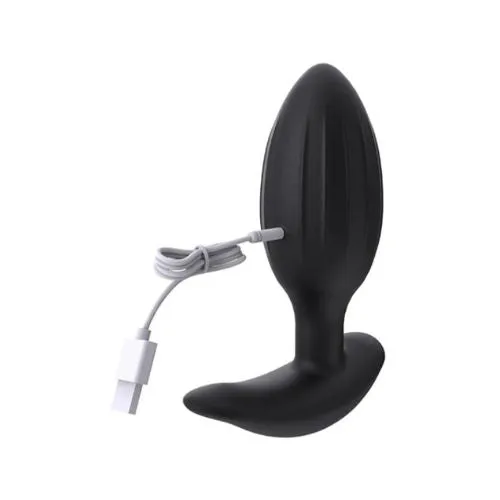 Anal KamasutraToys Vibrating Anal Butt Plug Remote Controlled