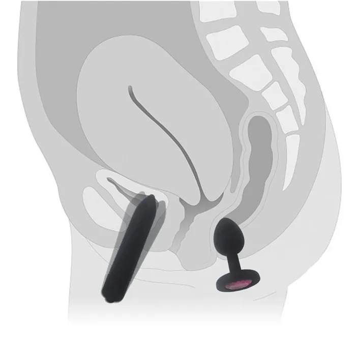 Female Sex Toys Own Pleasures Crystal Butt Plugs and Silicone Vibrator