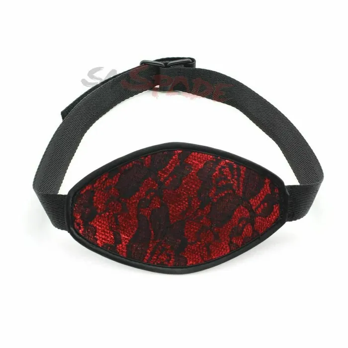 House of Dasein Gags Red Black Lace Mask Silicone Ball Gag Mouth Bondage Restraints Kink Bdsm Fetish Couples