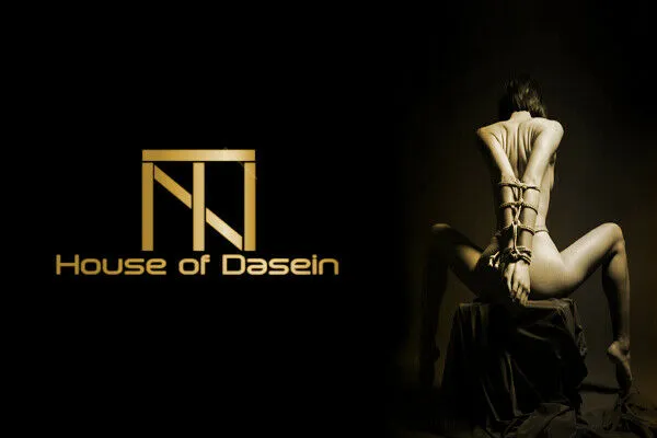 Sex Furniture Versatile Stainless Steel Bondage Frame Kink Fetish Restraints House of Dasein Couples