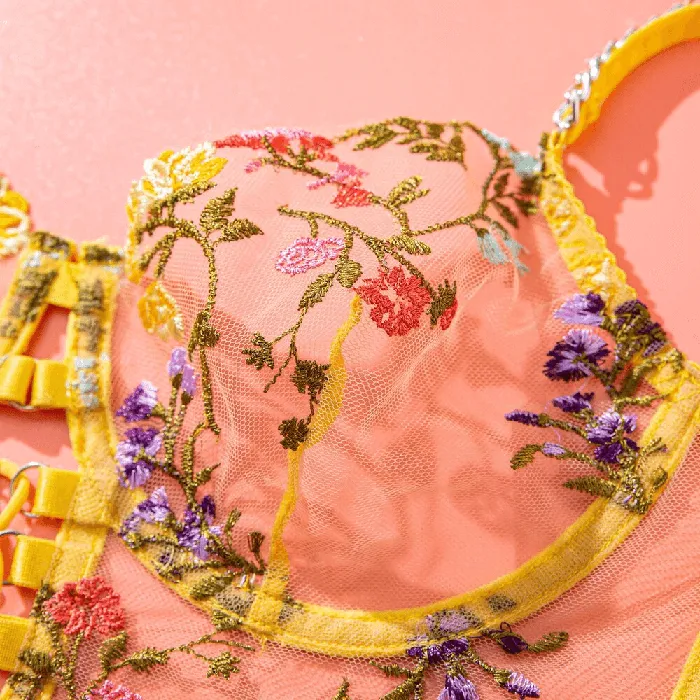 Anal Transparent Bra Set for Women Sexy Fairy Lace Underwear Luxury Exotic Lingerie EVEs SECRETS