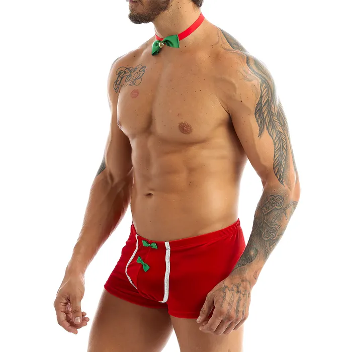 Mens Christmas Fancy Cosplay Costume Sexy RolePlay Red Underwear EVEs SECRETS Anal