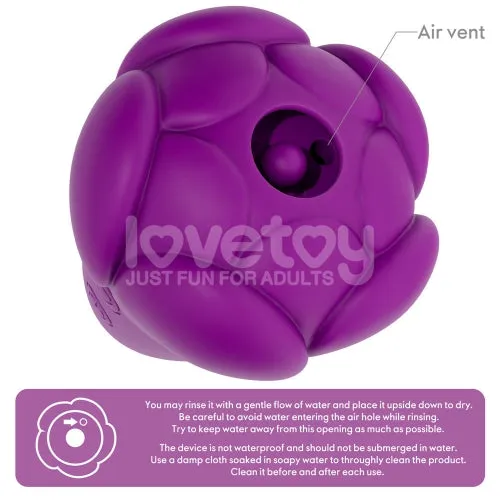 Female Sex Toys LVY Flicker Rechargeable Vibrator