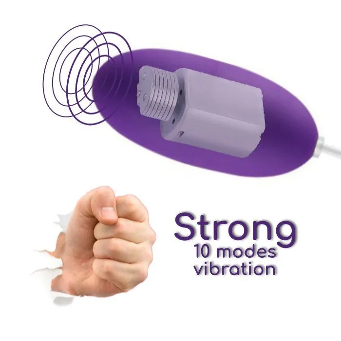 FRISKY BUSINESS SG Fun Wired Egg Vibrator Female Sex Toys