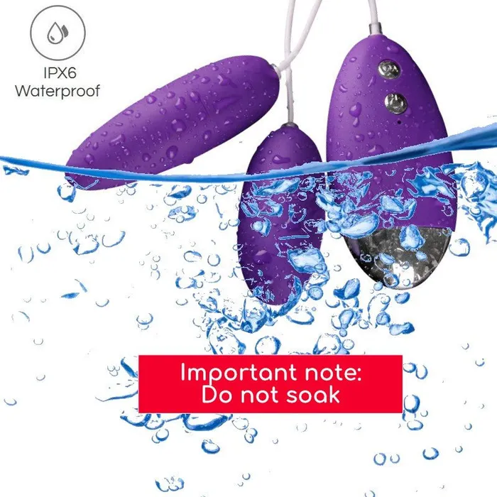 FRISKY BUSINESS SG Fun Wired Egg Vibrator Female Sex Toys