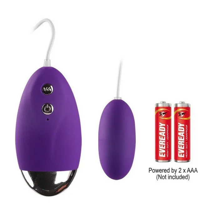 FRISKY BUSINESS SG Fun Wired Egg Vibrator Female Sex Toys