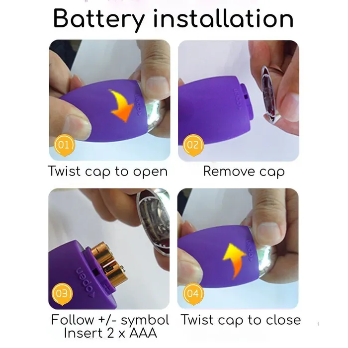 FRISKY BUSINESS SG Fun Wired Egg Vibrator Female Sex Toys