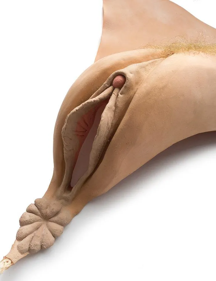 Original VeeString Vagina Prosthesis vendorunknown Male Sex Toys