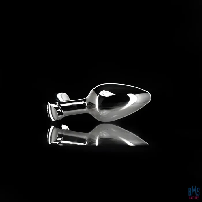 Anal Pillow Talk Pillow Talk Sneaky Luxurious Stainless Steel Anal Plug
