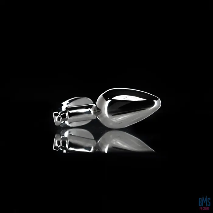 Anal Pillow Talk Pillow Talk Sneaky Luxurious Stainless Steel Anal Plug