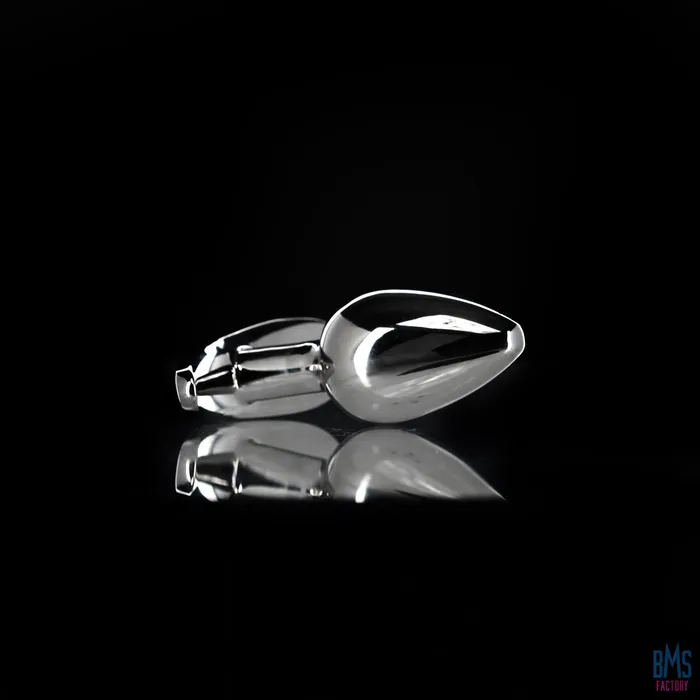 Anal Pillow Talk Pillow Talk Sneaky Luxurious Stainless Steel Anal Plug