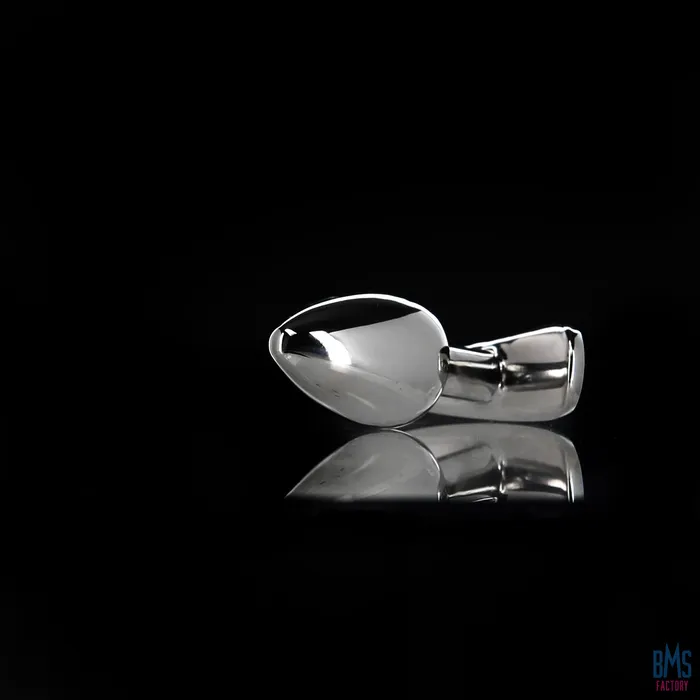 Anal Pillow Talk Pillow Talk Sneaky Luxurious Stainless Steel Anal Plug