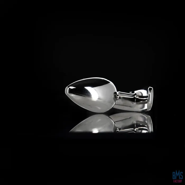 Anal Pillow Talk Pillow Talk Sneaky Luxurious Stainless Steel Anal Plug