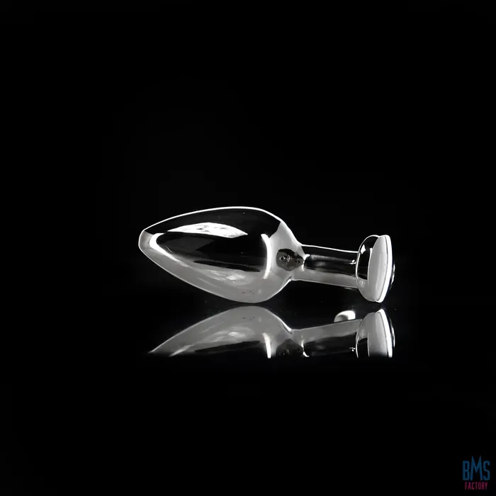 Anal Pillow Talk Pillow Talk Sneaky Luxurious Stainless Steel Anal Plug