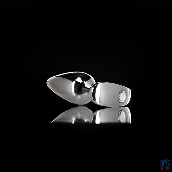 Anal Pillow Talk Pillow Talk Sneaky Luxurious Stainless Steel Anal Plug