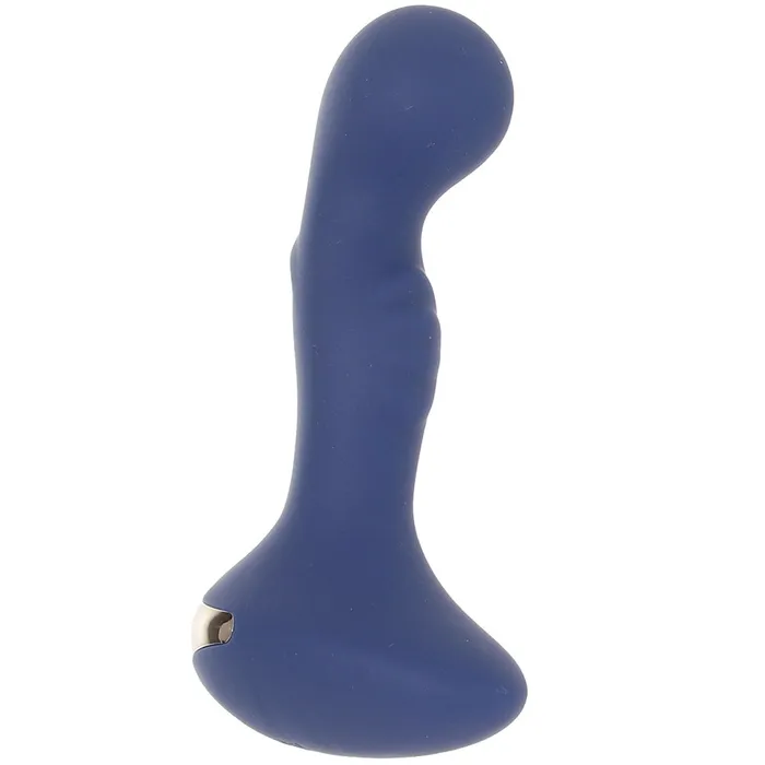 Evolved Novelties Anal Zero Tolerance Blue Oasis PVibe