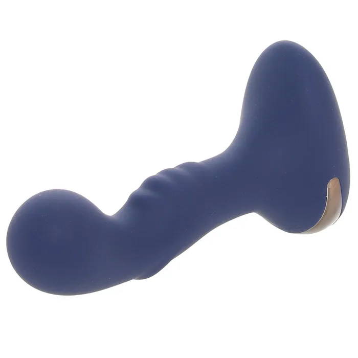 Evolved Novelties Anal Zero Tolerance Blue Oasis PVibe