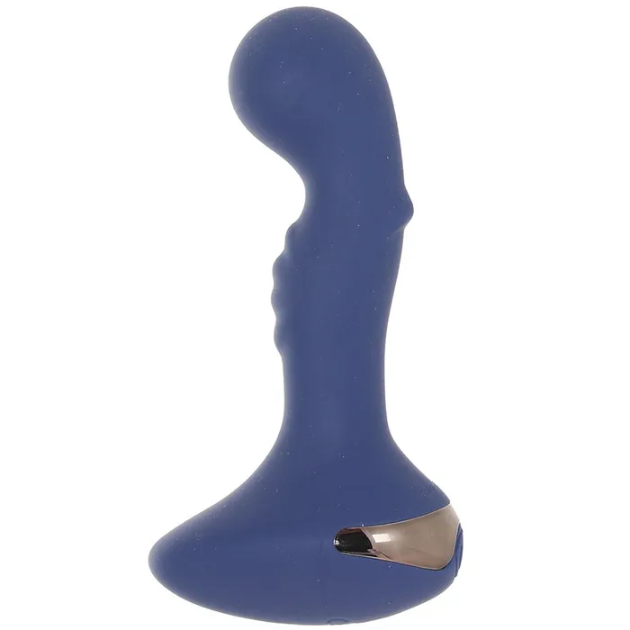 Evolved Novelties Anal Zero Tolerance Blue Oasis PVibe