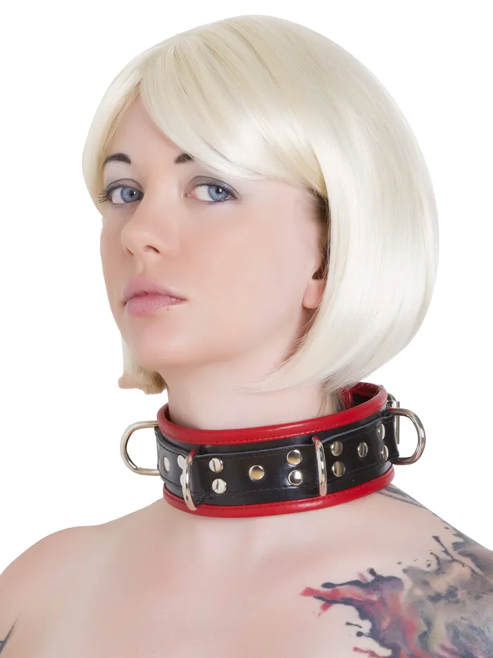 HonourSkintwocom Restraints Black Red Leather Five DRing Collar