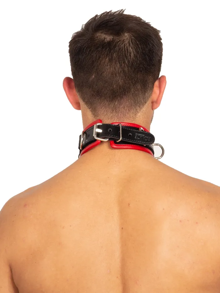 HonourSkintwocom Restraints Black Red Leather Five DRing Collar