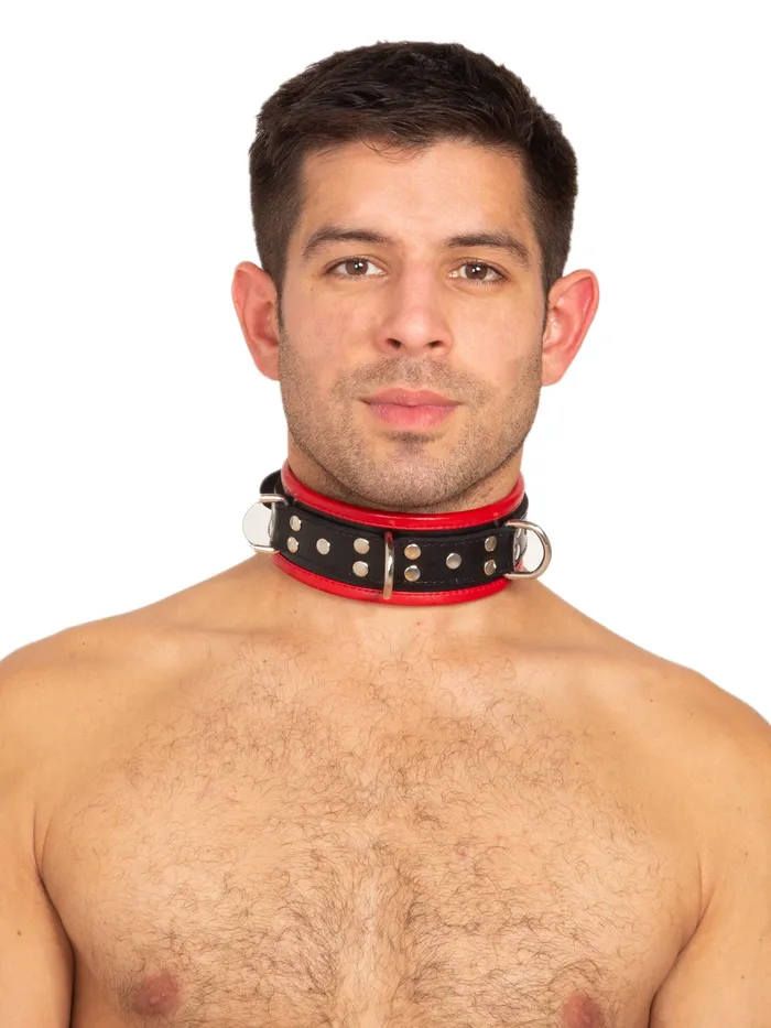 HonourSkintwocom Restraints Black Red Leather Five DRing Collar