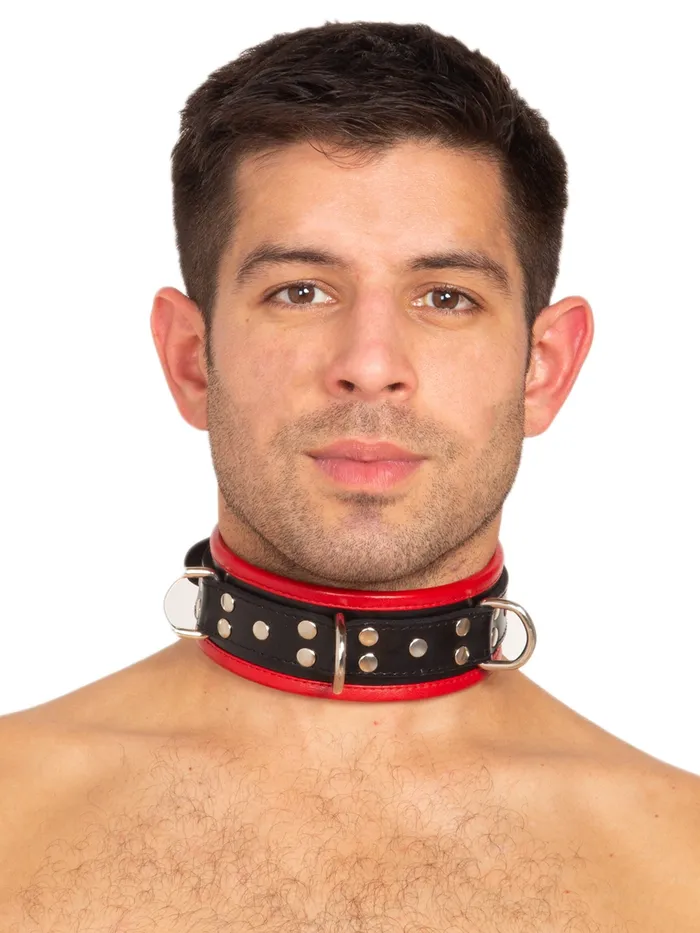 HonourSkintwocom Restraints Black Red Leather Five DRing Collar