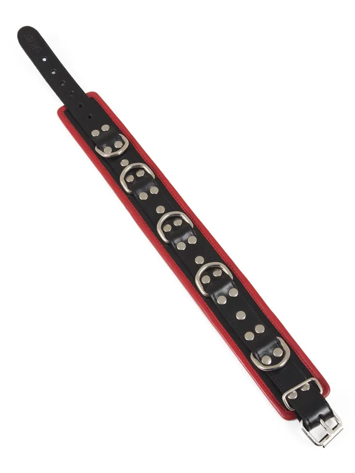 HonourSkintwocom Restraints Black Red Leather Five DRing Collar