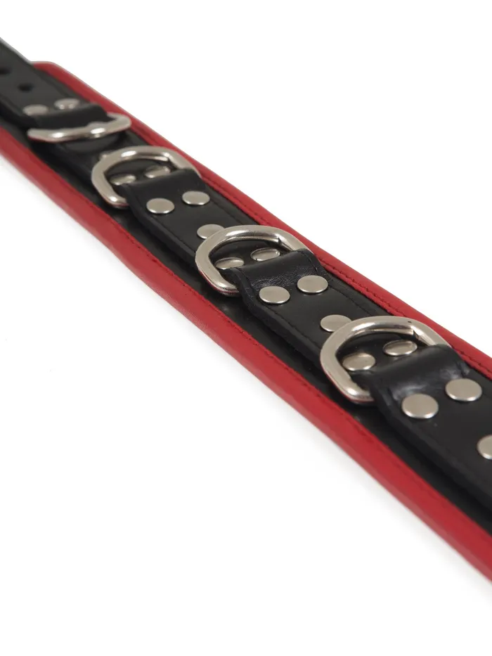HonourSkintwocom Restraints Black Red Leather Five DRing Collar
