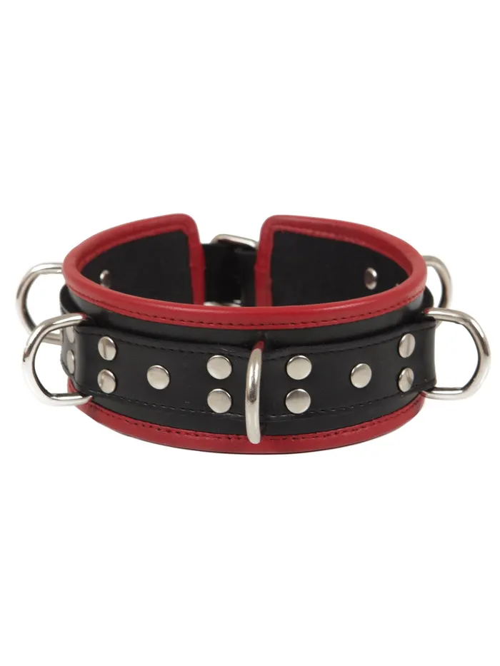HonourSkintwocom Restraints Black Red Leather Five DRing Collar