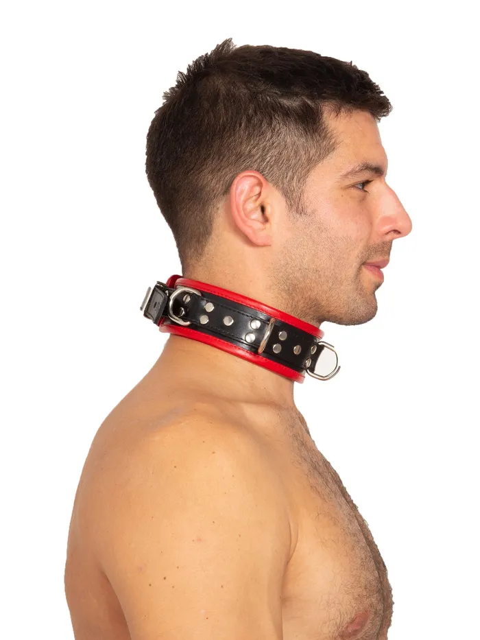 HonourSkintwocom Restraints Black Red Leather Five DRing Collar