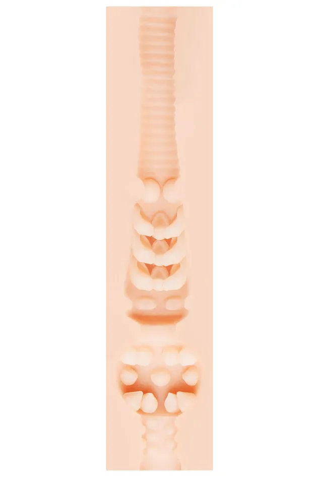 Male Sex Toys Fleshlight Stoya Destroya Fleshlight Masturbator