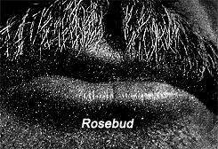 Tom of Finland Female Sex Toys Rosebud Cylinder With Beaded Silicone Insert