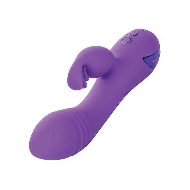 Vibrators California Dreaming West Coast Wave Rider Purple CalExotics