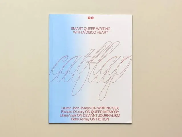 Catflap Issue 03 Outburst Arts Vibrators