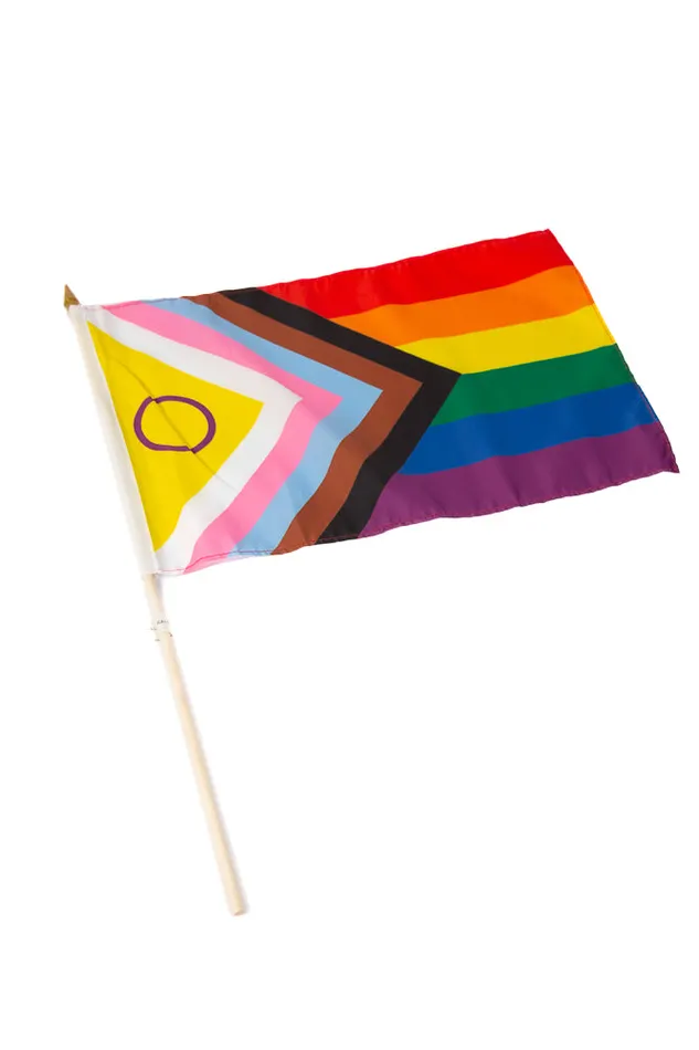 Female Sex Toys Stag Shop Intersex Inclusive 12x18 Pride Flag On Stick Stag Shop