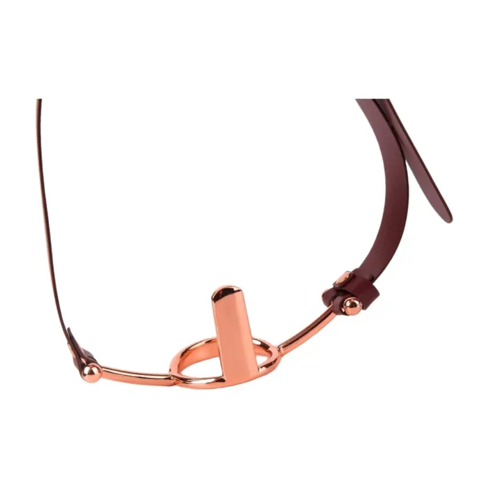 Male Sex Toys Oxyshop Forced ORing with Tongue Restraint