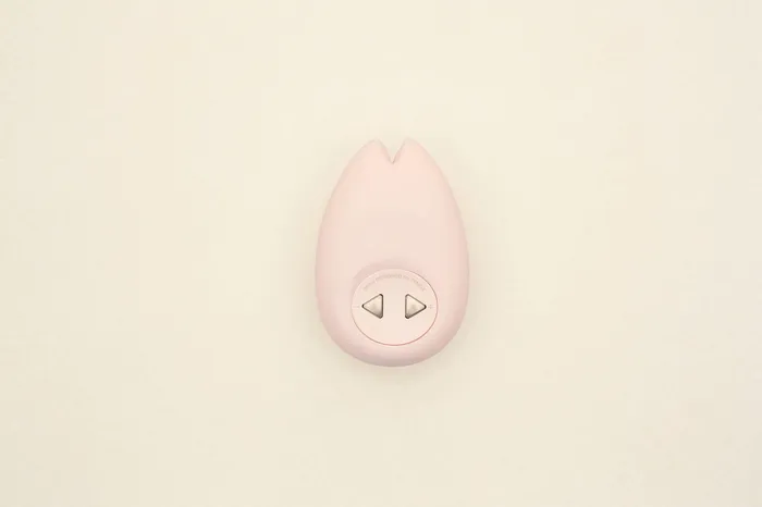 Sakura IROHA Vibrators