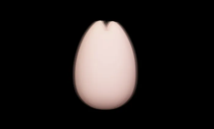 Sakura IROHA Vibrators