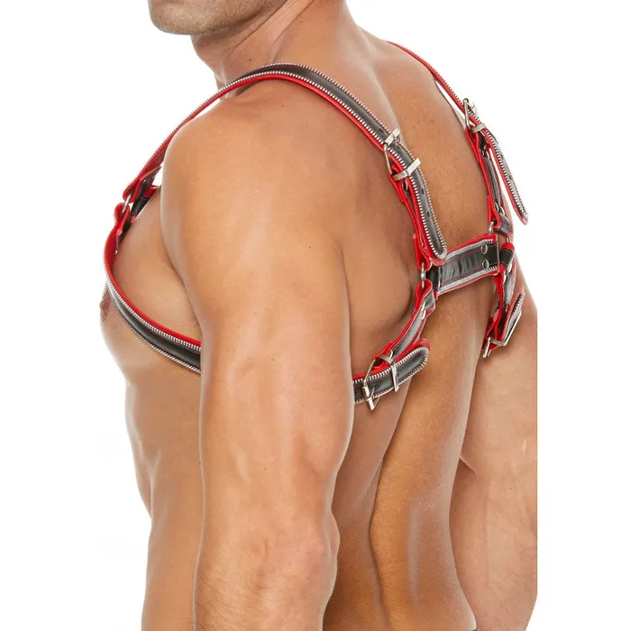 Shots Toys Anal Shots UOMO Z Series Leather Mens Bulldog Harness LXL Black Red