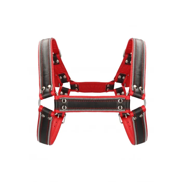 Shots Toys Anal Shots UOMO Z Series Leather Mens Bulldog Harness LXL Black Red