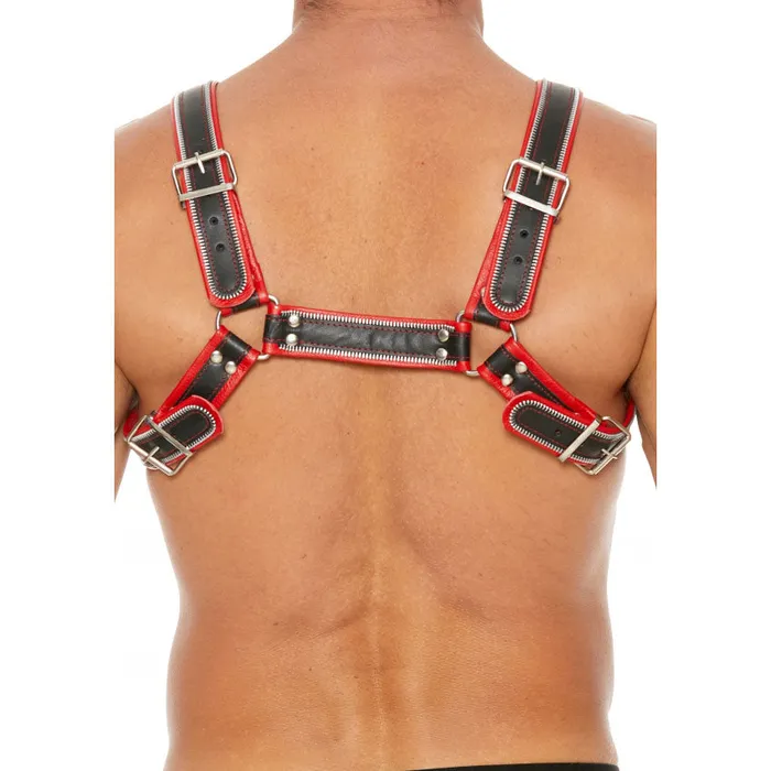 Shots Toys Anal Shots UOMO Z Series Leather Mens Bulldog Harness LXL Black Red