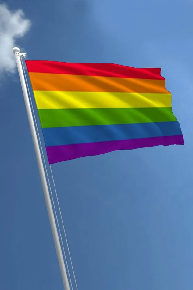 Stag Shop Pride Flag Rainbow 5 x 8 Inches Stag Shop Dildos