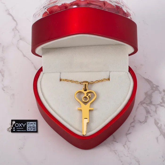 The Key to Submission Chastity Key Necklace Oxyshop Male Sex Toys